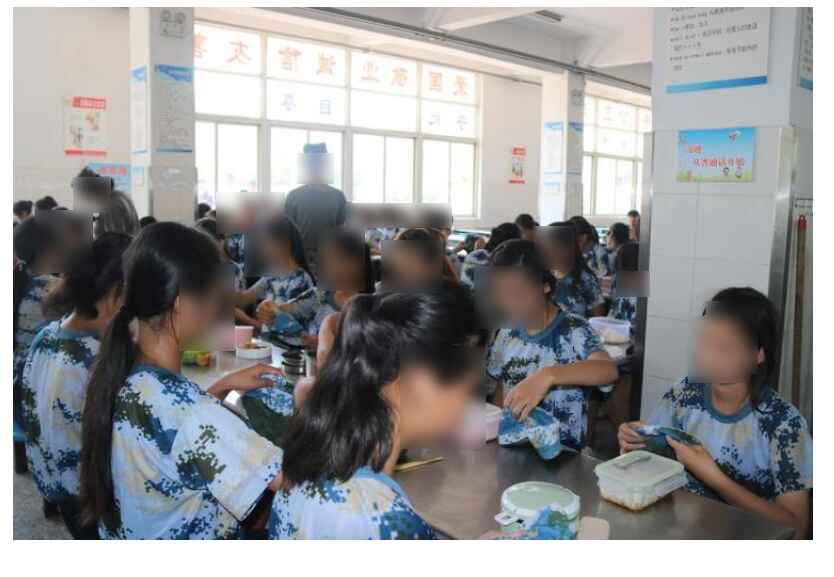实训实习