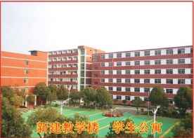 校园环境