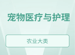 宠物医疗与护理