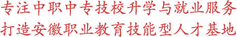 专注中职|中专|技校升学服务打造职业教育技能形人才基地