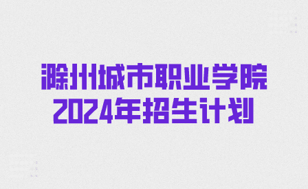 滁州城市职业学院2024年分类考试招生计划
