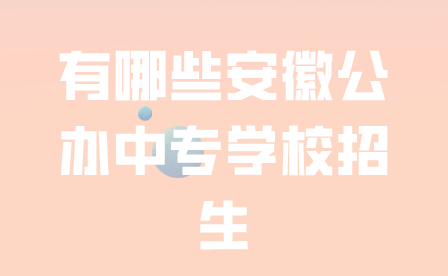 有哪些安徽公办中专学校招生?