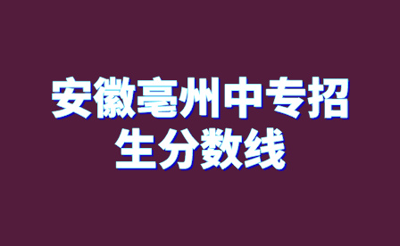 安徽亳州中专招生分数线是多少?