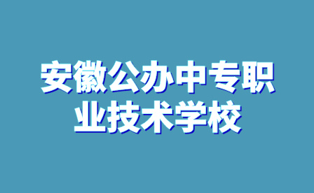 安徽公办中专职业技术学校有哪些?