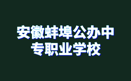 安徽蚌埠公办中专职业学校有哪些?