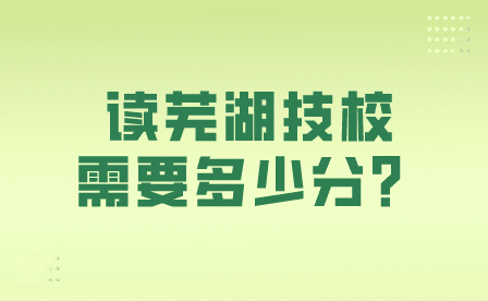 芜湖技校多少分