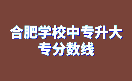 安徽合肥幼儿师范高等专科学校中专升大专分数线