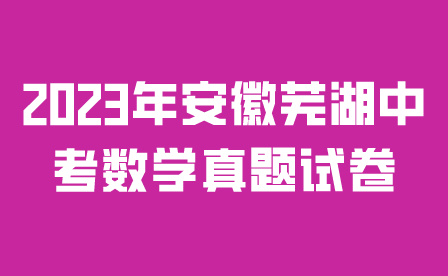 2023年安徽芜湖中考数学真题试卷