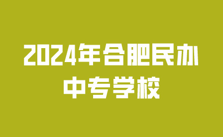 2024年合肥民办中专学校